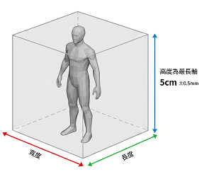 人形最長軸示意圖
